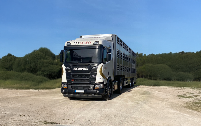 Transporte Animais Vivos Mudas